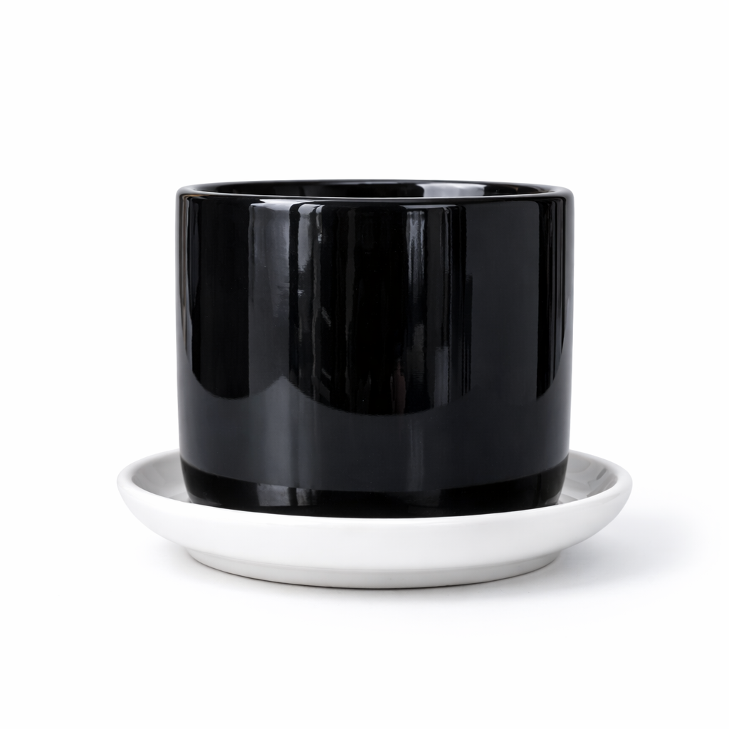 Glossy Black Ceramic Planter Pot for Indoor Plants
