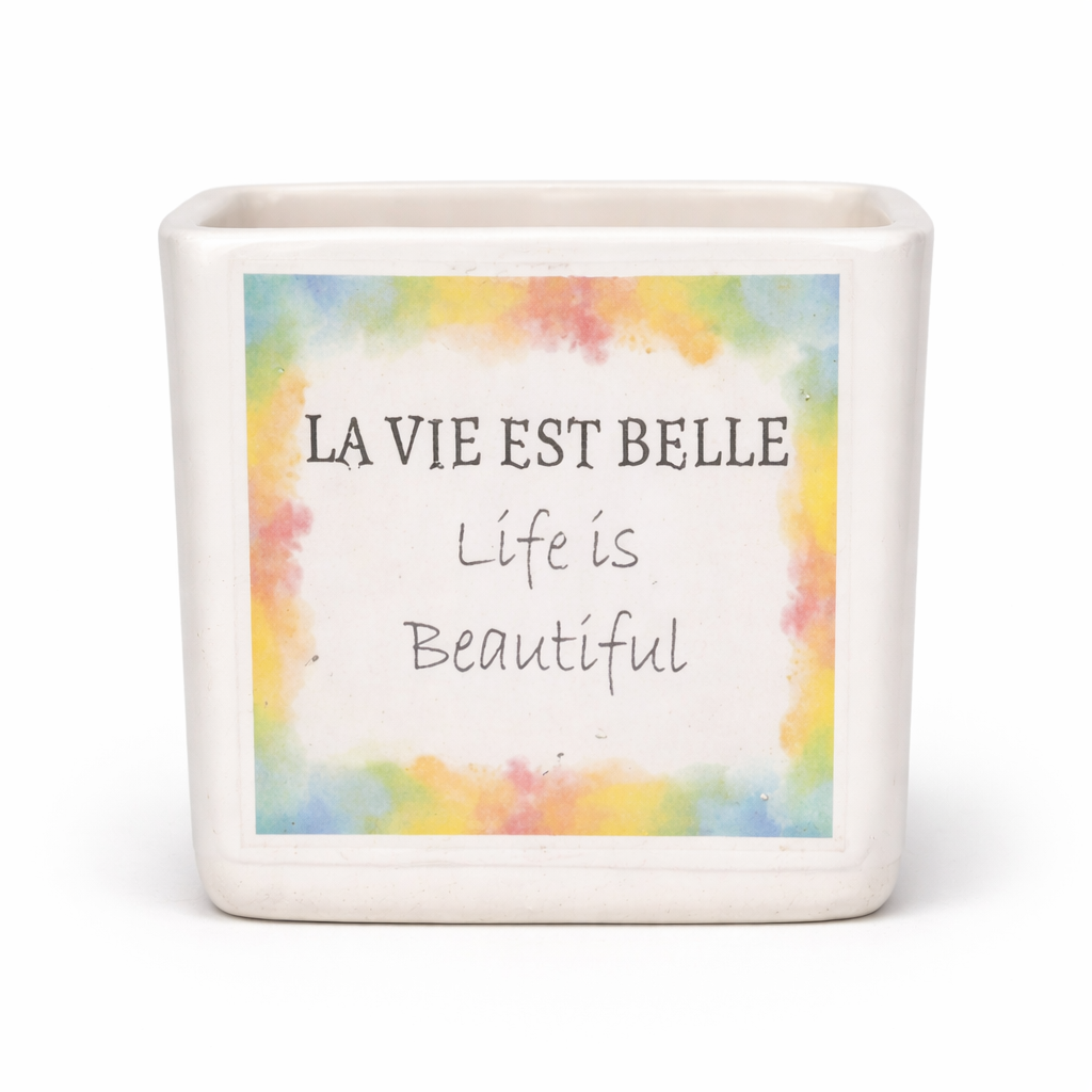Decorative Indoor Ceramic Flower Pot with Printed Text