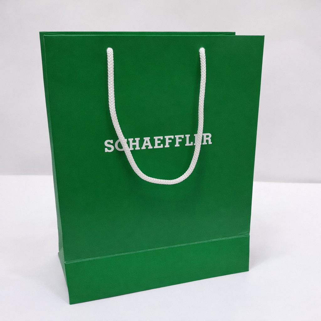 Luxury Customized Paper Bag for Brand Promotion
