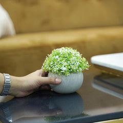 Faux Succulent Plant - Dali