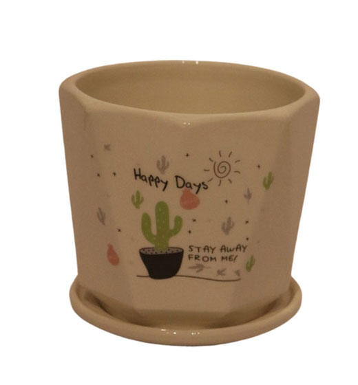 Bloom Pots BP 10